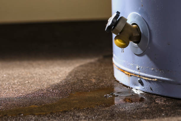 Best Carpet water damage restoration  in Big Spring, TX