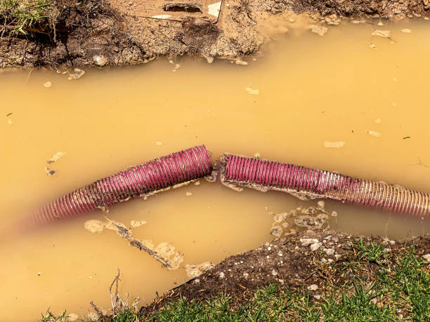 Best Basement water damage restoration  in Big Spring, TX